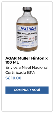 Agar Muller Hinton x 100ml